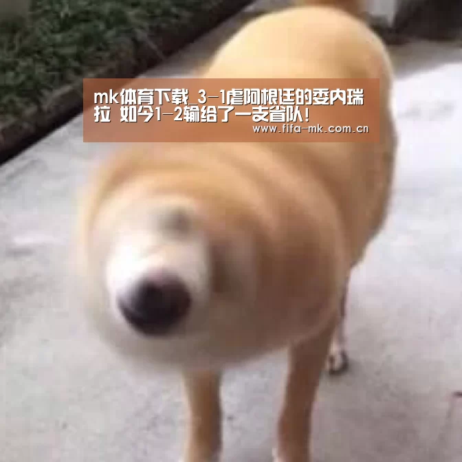 mk体育注册