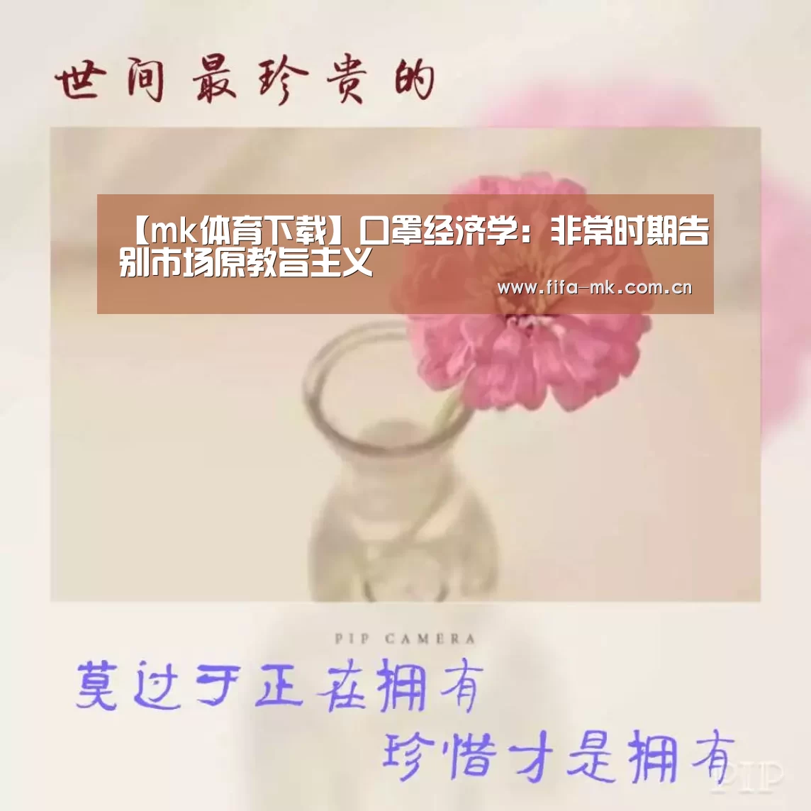 mk体育注册